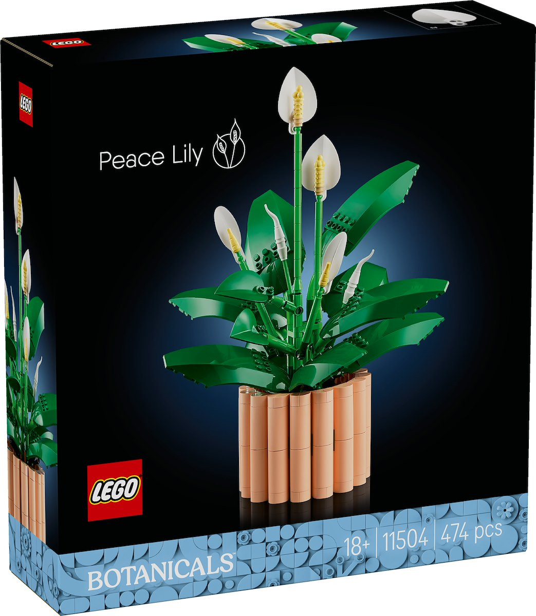 LEGO - 11504 SPATIFILLO LEGO BOTANICALS - 2250017838 LEGO 5 | Trony.it